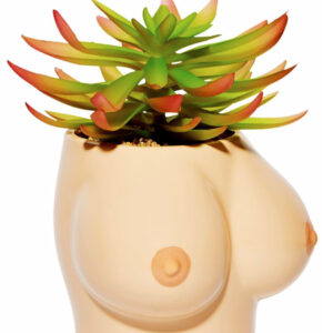 big boobs flower pot