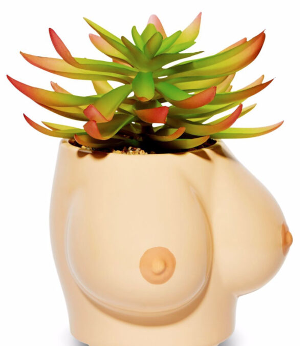 big boobs flower pot