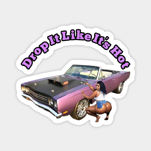 drop it like its hot- NUDE SPORTS CAR STiCKERS AND MAGNETS