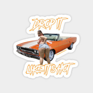 drop it like its hot- NUDE SPORTS CAR STiCKERS AND MAGNETS