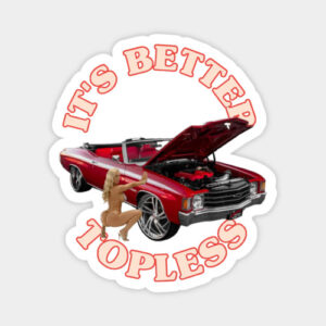 FAST CAR NUDE SPORTS CAR STiCKERS AND MAGNETS