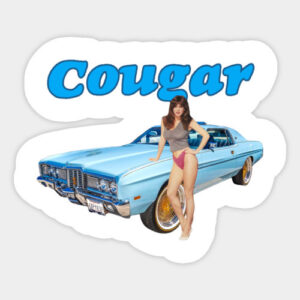 Sexy-muscle car-milf-Pin Up-classic-acr-merchandise-hotwheels-car models-car magnets-car stickers-cool whips hot chicks